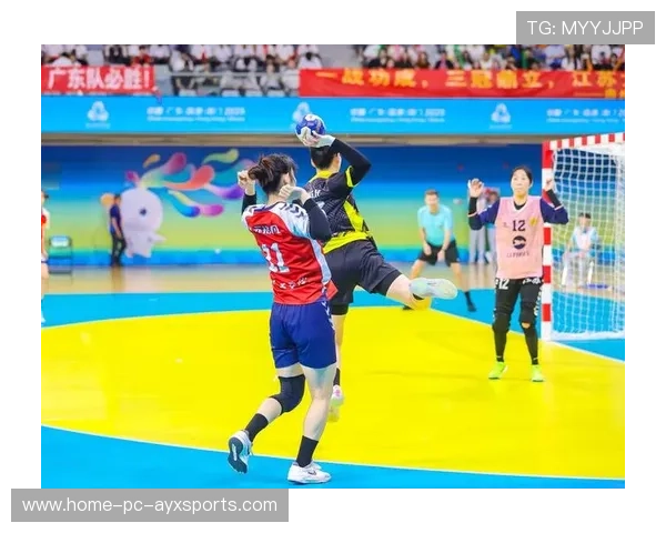 手球青年队夺冠带动地方竞技体育投资增加